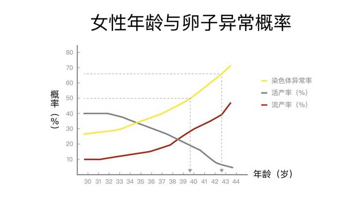 女士年纪与卵子出现异常几率