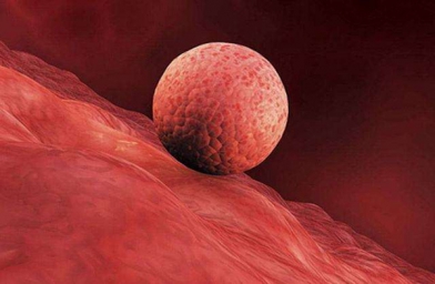 深圳女性子宫内膜薄，干细胞治疗怎么样？