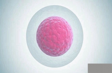 深圳女性排卵障碍能够进行试管婴儿手术吗？成功率高吗？