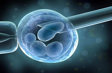 深圳格鲁吉亚ReproArt诊所专家解释取卵对卵巢的伤害大吗？
