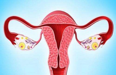 深圳格鲁吉亚ReproArt诊所专家解释取卵后卵巢该如何保养？