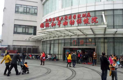 深圳上海做试管助孕，上海国妇婴试管婴儿成功率和费用是怎样？